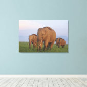 Indische Elefanten im Grassland Leinwanddruck (Insitu (Holzboden))