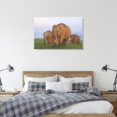 Indische Elefanten im Grassland Leinwanddruck (Insitu (Schlafzimmer))