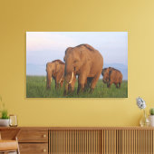 Indische Elefanten im Grassland Leinwanddruck (Insitu (Wohnzimmer))