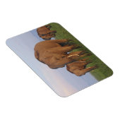 Indische Elefanten im Grassland Magnet (Rechte Seite)