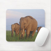 Indische Elefanten im Grassland Mousepad (Mit Mouse)