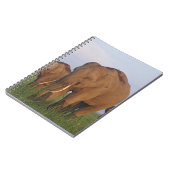 Indische Elefanten im Grassland Notizblock (Linke Seite)