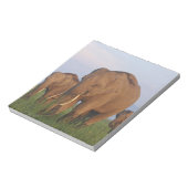 Indische Elefanten im Grassland Notizblock (Rotiert)