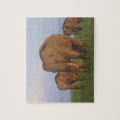 Indische Elefanten im Grassland Puzzle (Vertikal)