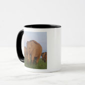 Indische Elefanten im Grassland Tasse (Vorderseite Links)