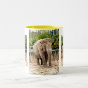 indische Elefanten Zweifarbige Tasse