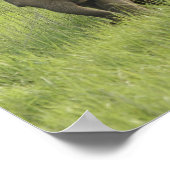 indische Elefantenfamilie aus Poster (Ecke)