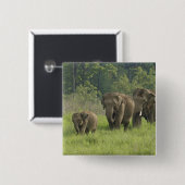 indische Elefantenfamilie Button (Vorne & Hinten)