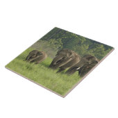 indische Elefantenfamilie Fliese (Seite)