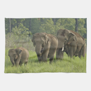 Indische Elefantenfamilie Handtuch