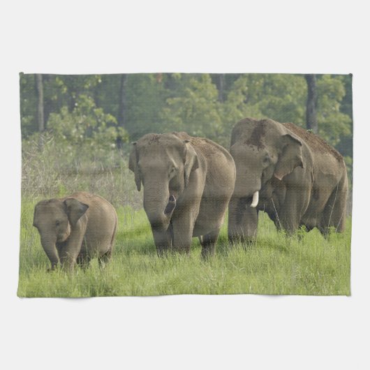 indische Elefantenfamilie Handtuch (Horizontal)
