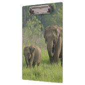 indische Elefantenfamilie Klemmbrett (Links)