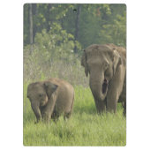 indische Elefantenfamilie Klemmbrett (Rückseite)
