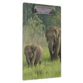 indische Elefantenfamilie Klemmbrett (Rechts)