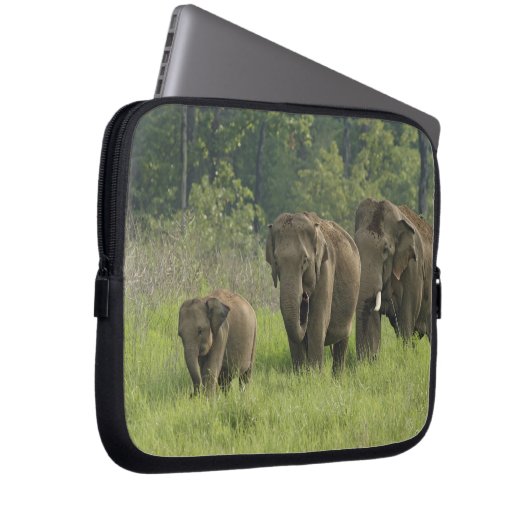 indische Elefantenfamilie Laptopschutzhülle (Vorne Rechts)