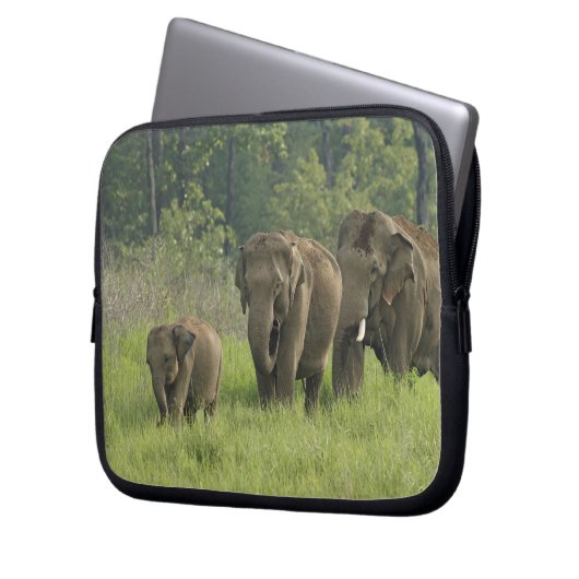 indische Elefantenfamilie Laptopschutzhülle (Vorderseite Links)