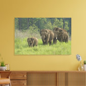 indische Elefantenfamilie Leinwanddruck (Insitu (Wohnzimmer))