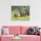 indische Elefantenfamilie Leinwanddruck (Insitu (Wohnzimmer))