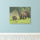 indische Elefantenfamilie Leinwanddruck (Insitu (Holzboden))
