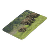 indische Elefantenfamilie Magnet (Linke Seite)