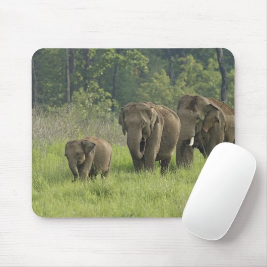 indische Elefantenfamilie Mousepad (Mit Mouse)