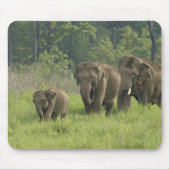 indische Elefantenfamilie Mousepad (Vorne)