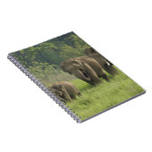 indische Elefantenfamilie Notizblock (Rechte Seite)
