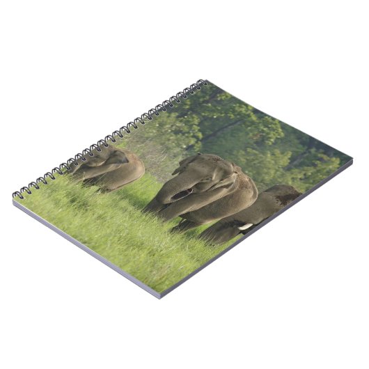 indische Elefantenfamilie Notizblock (Linke Seite)