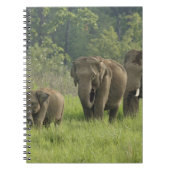 indische Elefantenfamilie Notizblock (Vorderseite)