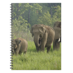 indische Elefantenfamilie Notizblock