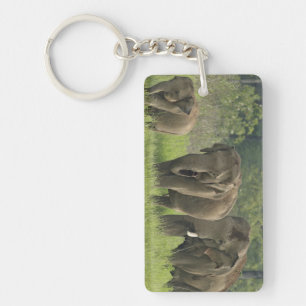 indische Elefantenfamilie Schlüsselanhänger