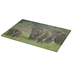 Indische Elefantenfamilie Schneidebrett