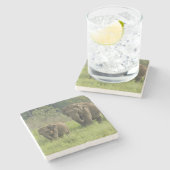 indische Elefantenfamilie Steinuntersetzer (Seitenansicht)