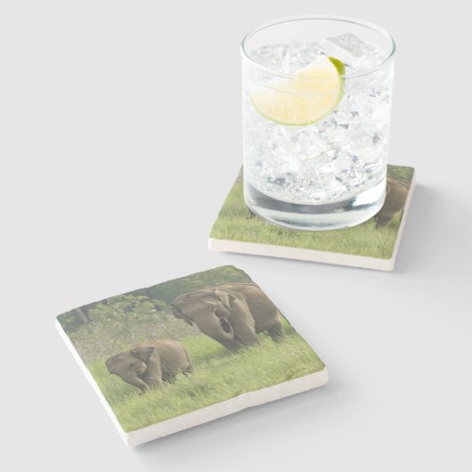 indische Elefantenfamilie Steinuntersetzer (Seitenansicht)