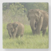 indische Elefantenfamilie Steinuntersetzer (Vorderseite)