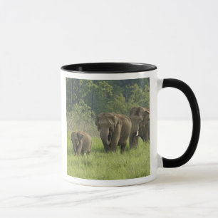 Indische Elefantenfamilie Tasse