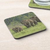 indische Elefantenfamilie Untersetzer (Linke Seite)