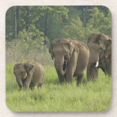 indische Elefantenfamilie Untersetzer (Vorderseite)