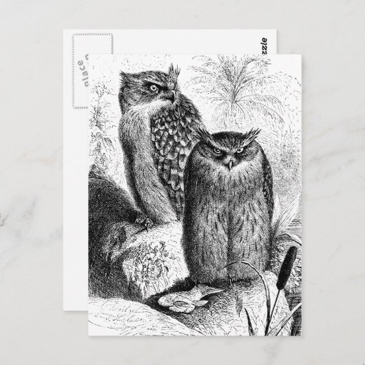 Indische Fischschwärme Vintage Holzgrabung Postkarte (Vorne/Hinten)