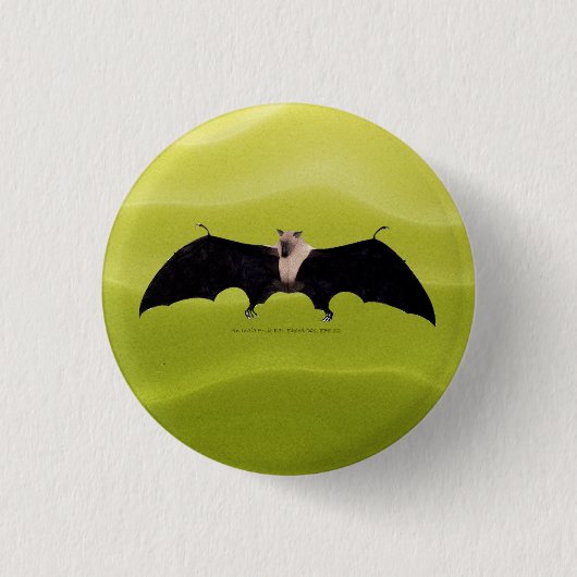 Indische Flughund Button (Vorderseite)
