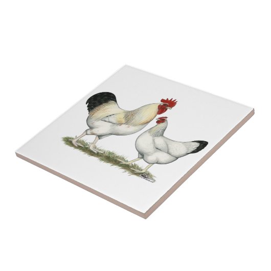 Indische Fluss-Hühner Fliese (Seite)