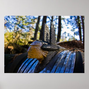 Indische Hauben-Verzierung Pontiacs Poster