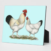 Indische Hühner Fotoplatte (Seite)