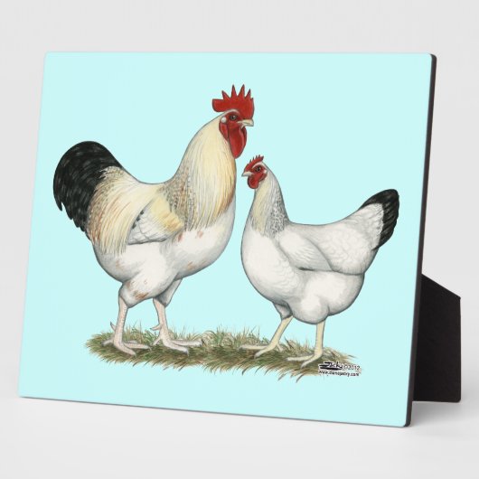 Indische Hühner Fotoplatte (Seite)