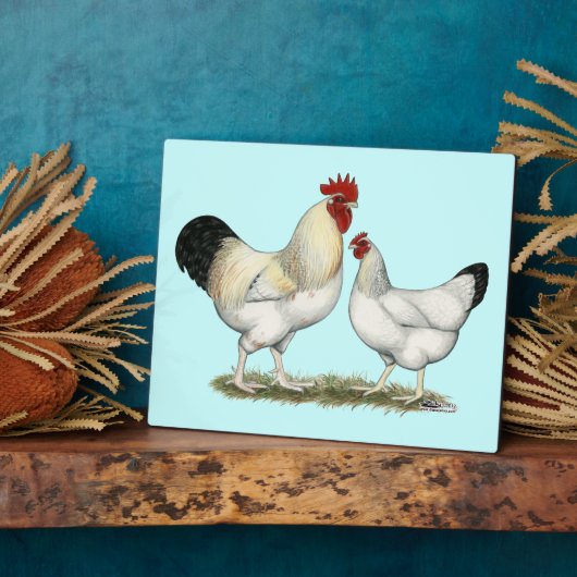 Indische Hühner Fotoplatte (Seite)