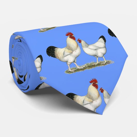 Indische Hühner Krawatte (Gerollt)