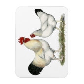 Indische Hühner Magnet (Vertikal)