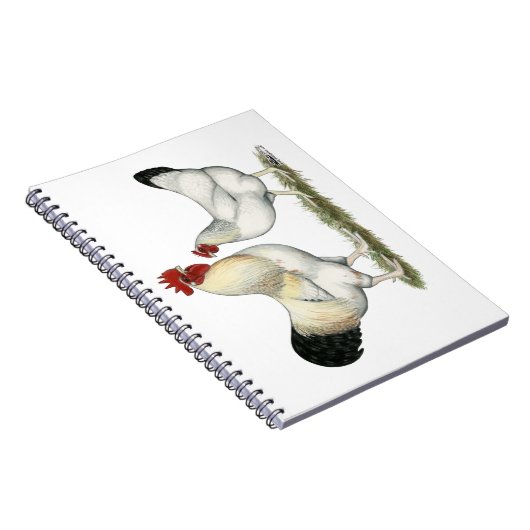 Indische Hühner Notizblock (Rechte Seite)