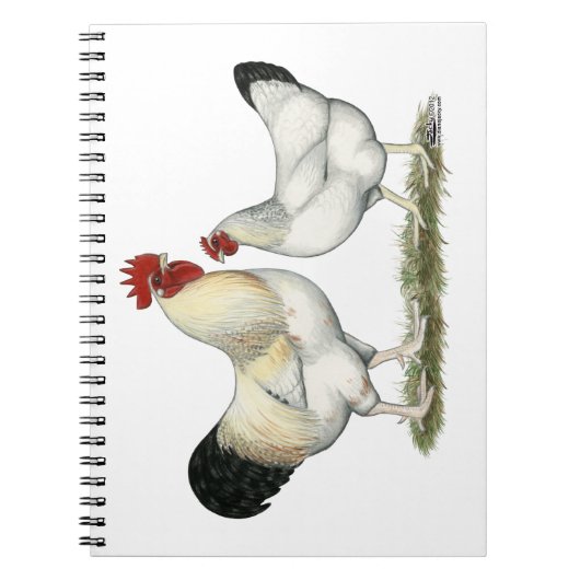 Indische Hühner Notizblock (Vorderseite)