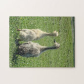 Indische Läufer-Entlein Puzzle (Horizontal)